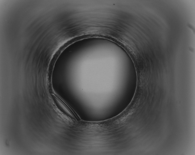 X0000091890880200709191215