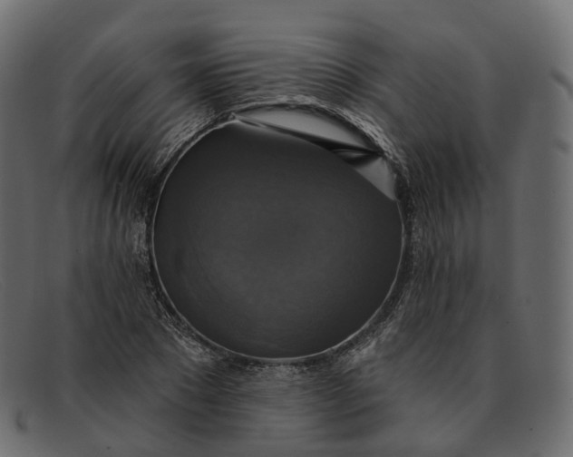 X0000091890881200709191215