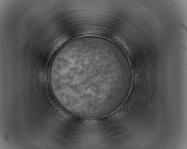 X0000091890882200709191215