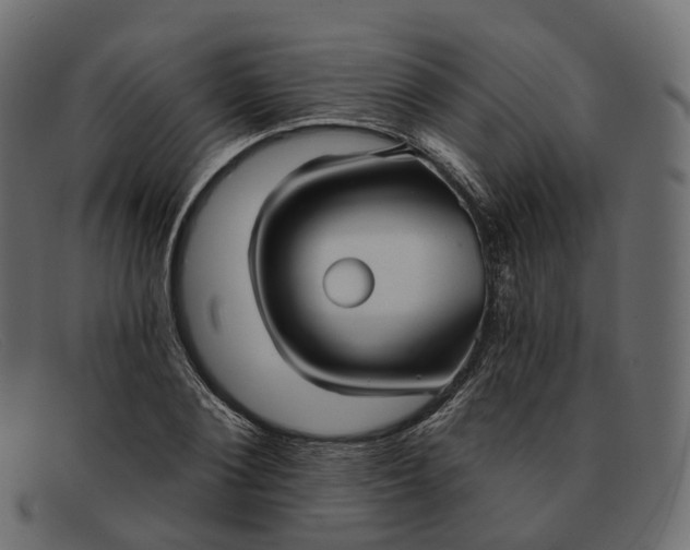 X0000091890884200709191215