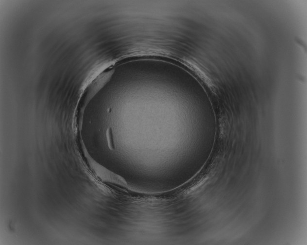 X0000091890885200709191215