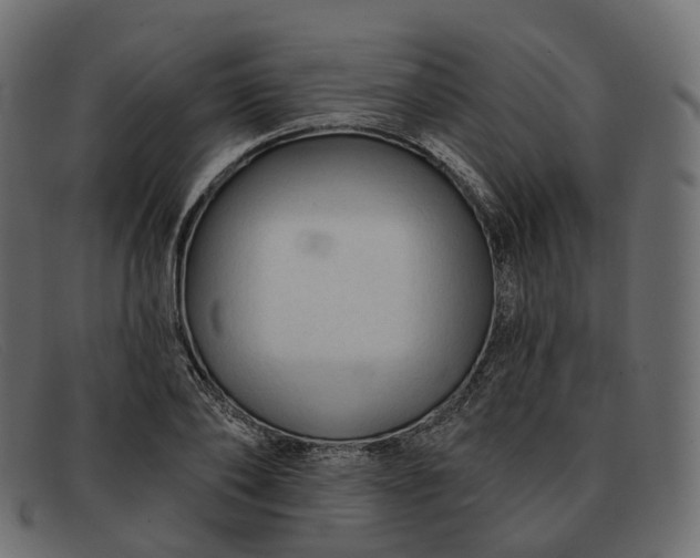 X0000091890886200709191215