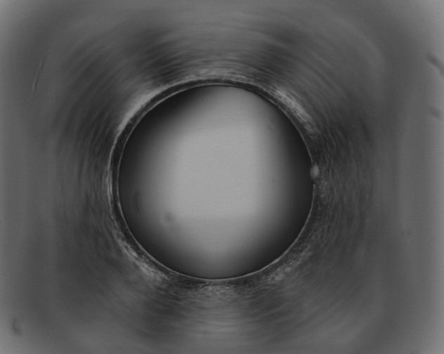 X0000091890888200709191215