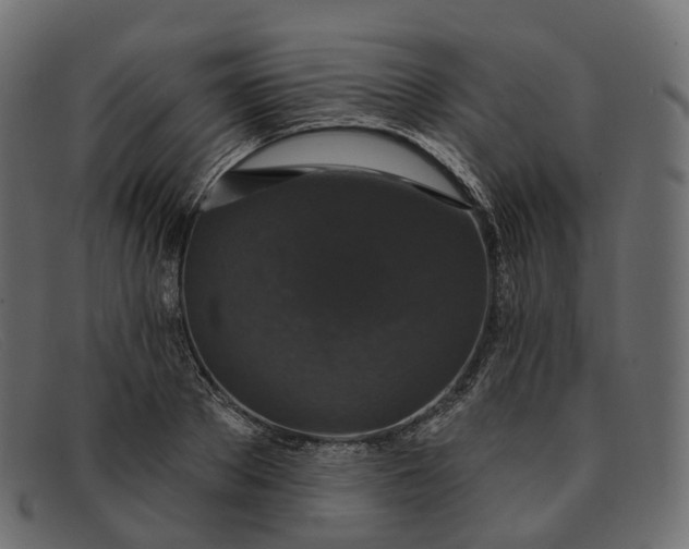 X0000091890889200709191215
