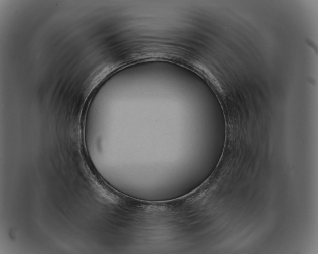 X0000091890890200709191215