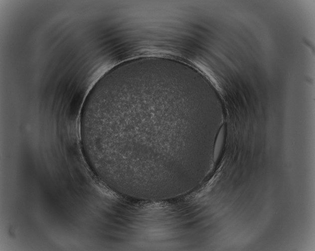 X0000091890891200709191215
