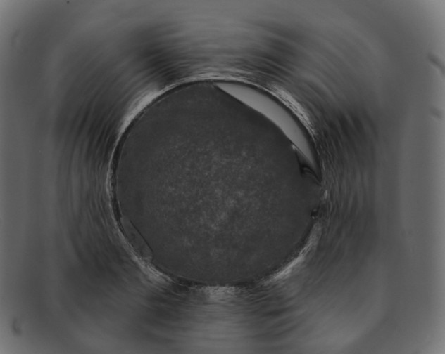 X0000091890893200709191215