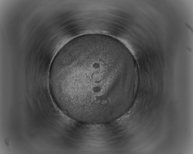 X0000091890895200709191215