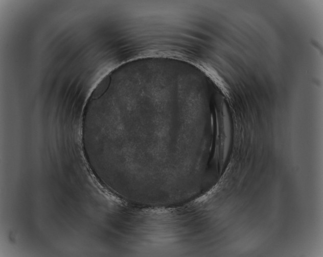 X0000091890896200709191215