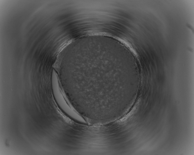 X0000091890897200709191215
