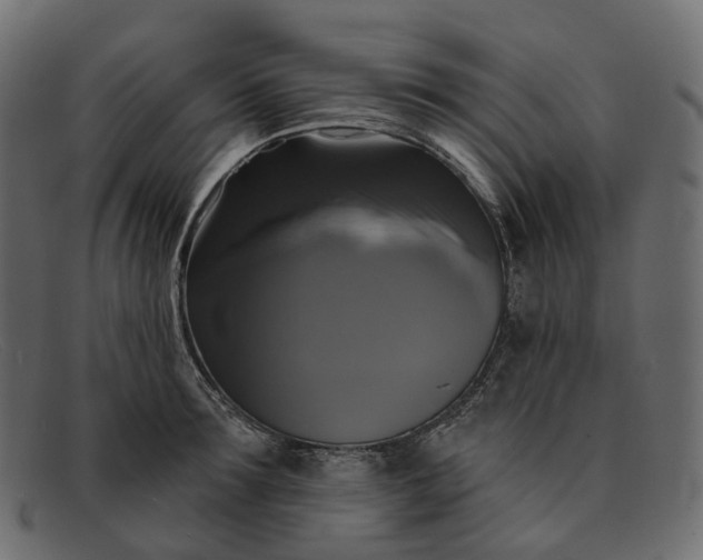 X0000091890899200709191215