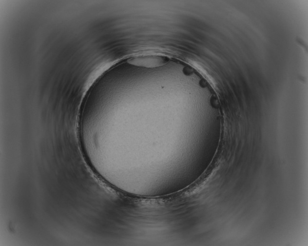 X0000091890901200709191215