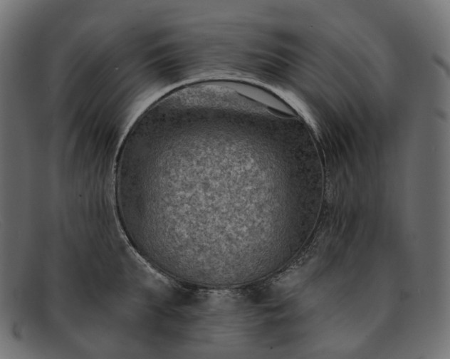X0000091890903200709191215