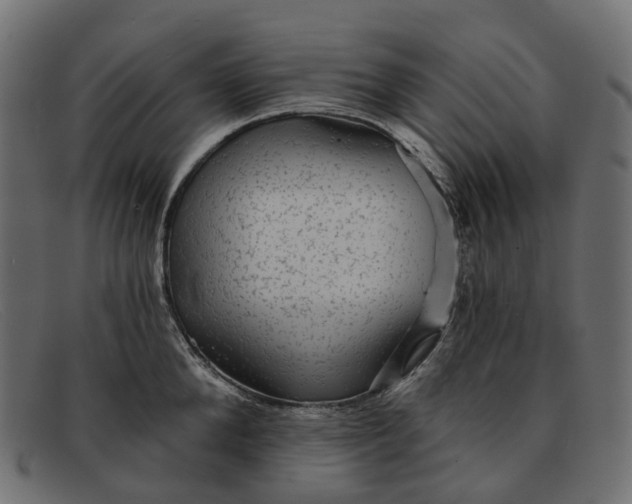X0000091890904200709191215