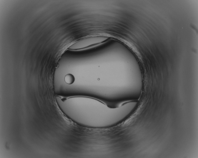 X0000091890905200709191215