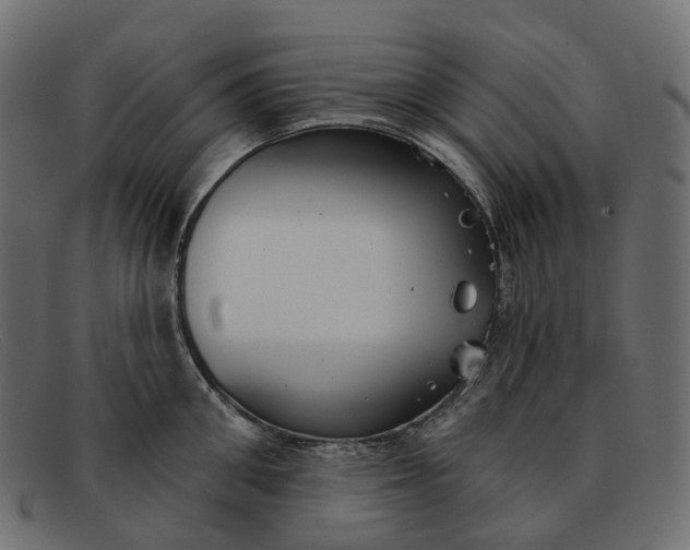 X0000091890906200709191215