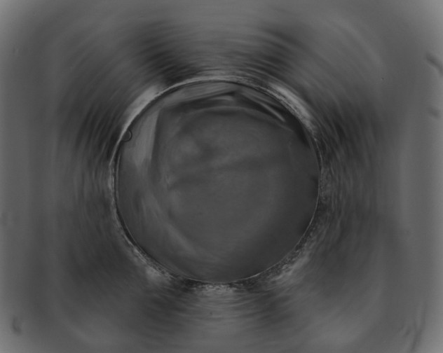 X0000091890907200709191215