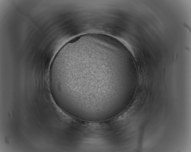 X0000091890911200709191215