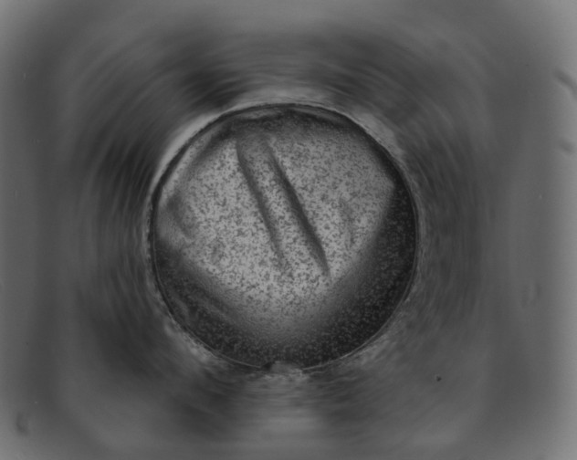 X0000091890912200709191215