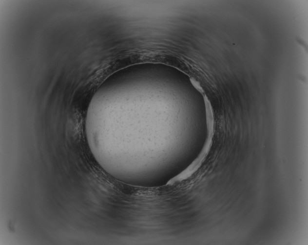 X0000091890914200709191214
