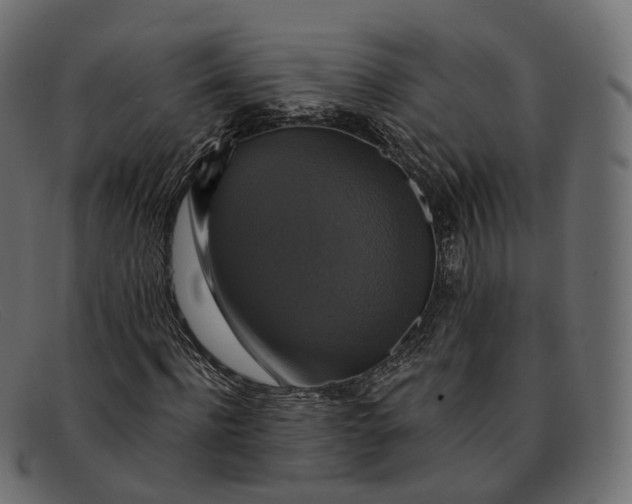 X0000091890916200709191214