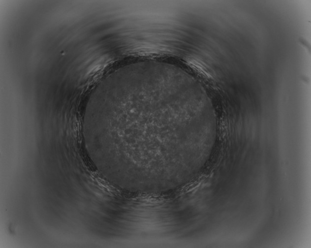X0000091890917200709191214
