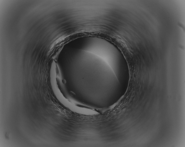 X0000091890920200709191214