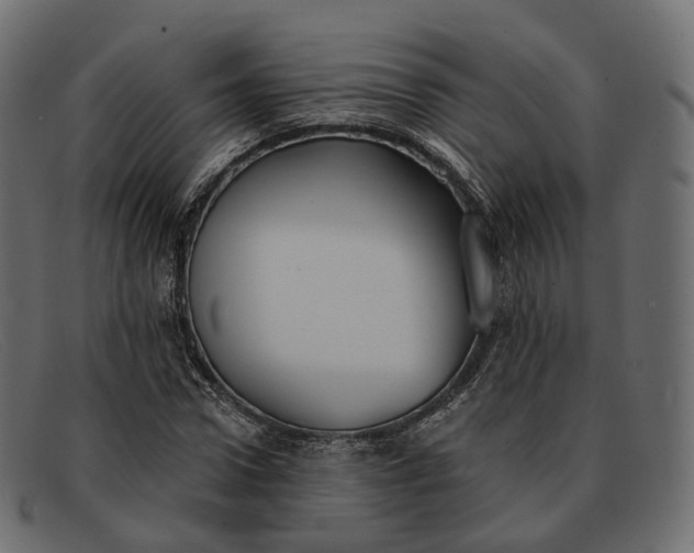 X0000091890922200709191214