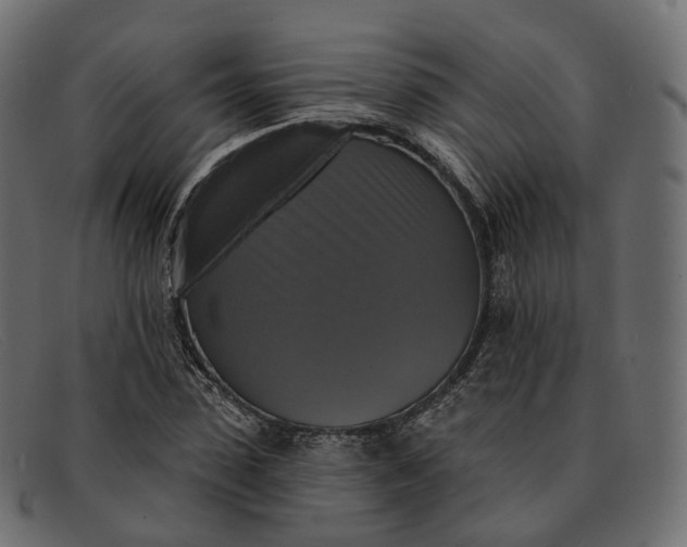 X0000091890923200709191214
