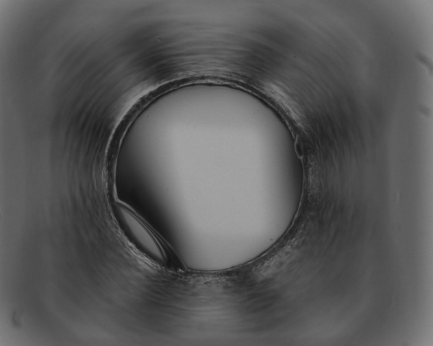 X0000091890924200709191214