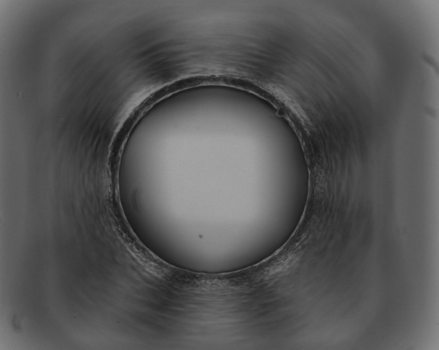 X0000091890927200709191214