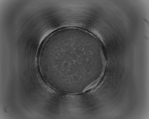 X0000091890928200709191214