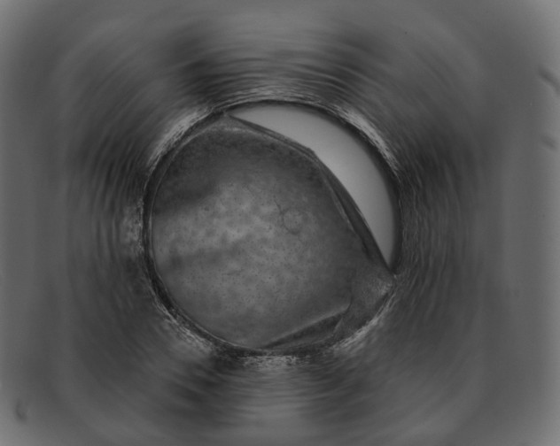 X0000091890930200709191214