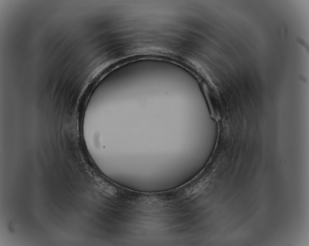 X0000091890931200709191214