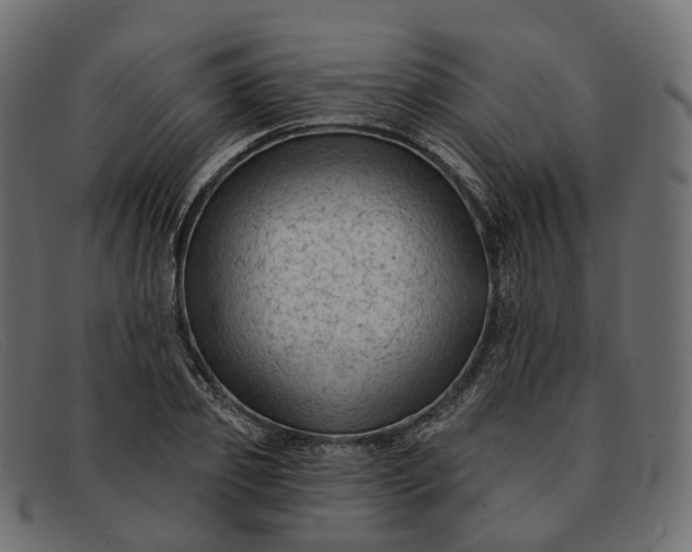 X0000091890933200709191214