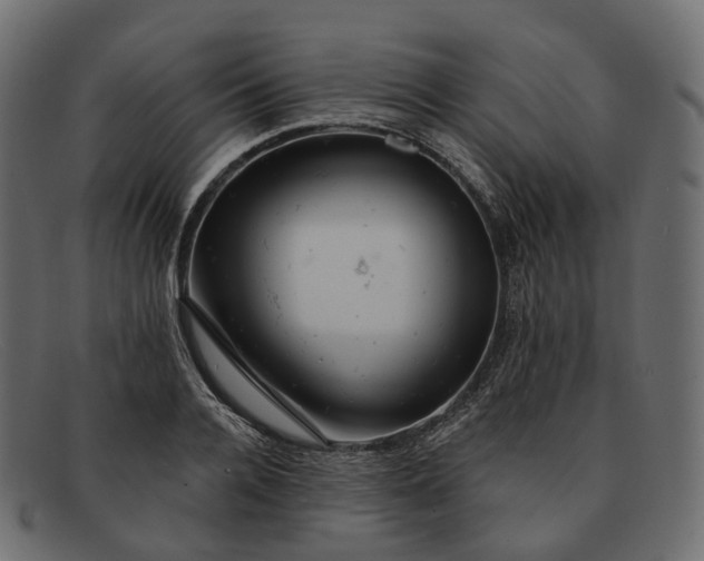 X0000091890936200709191214