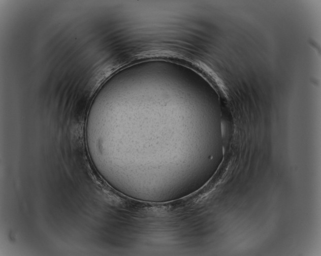 X0000091890937200709191214