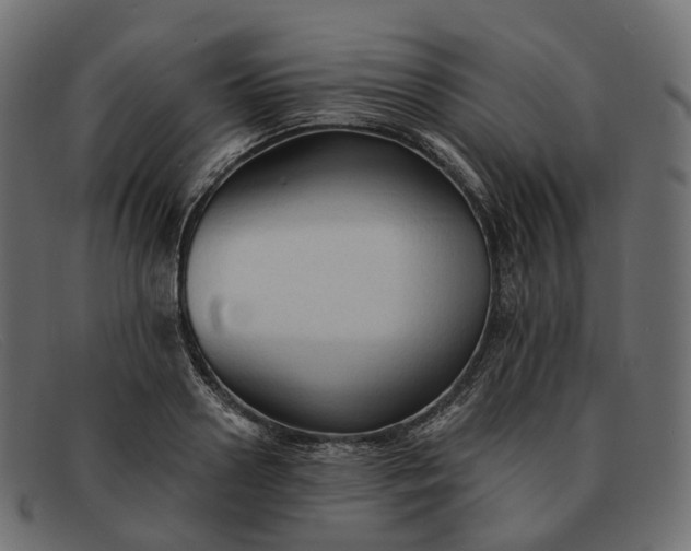 X0000091890938200709191214