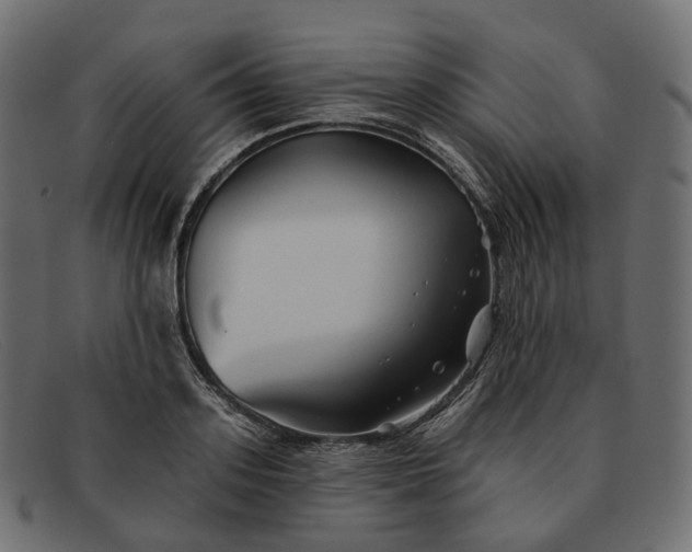 X0000091890939200709191214