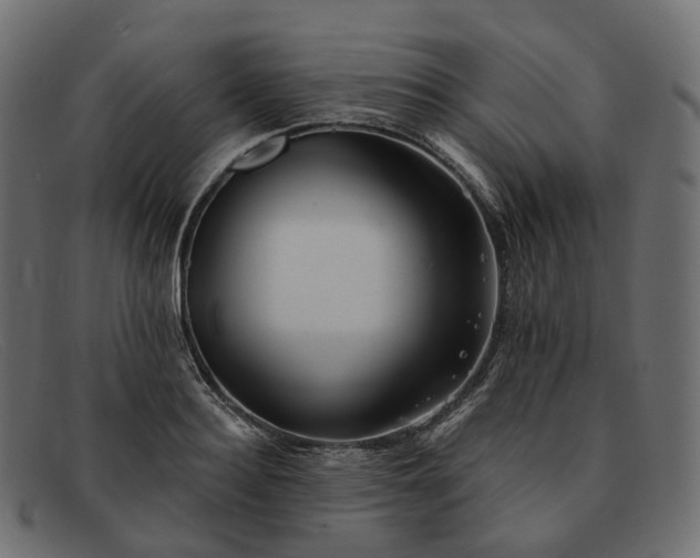 X0000091890940200709191214