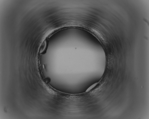 X0000091890942200709191214