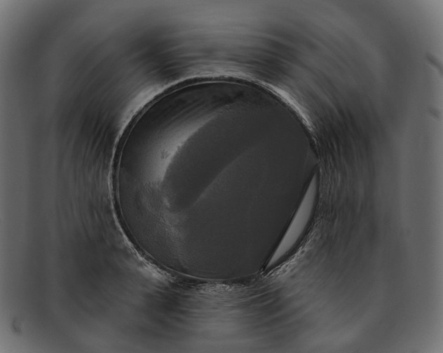 X0000091890943200709191214