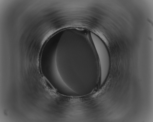 X0000091890944200709191214
