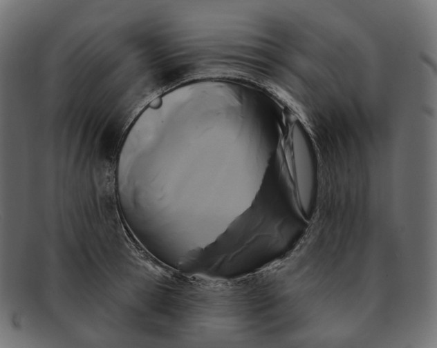X0000091890945200709191214