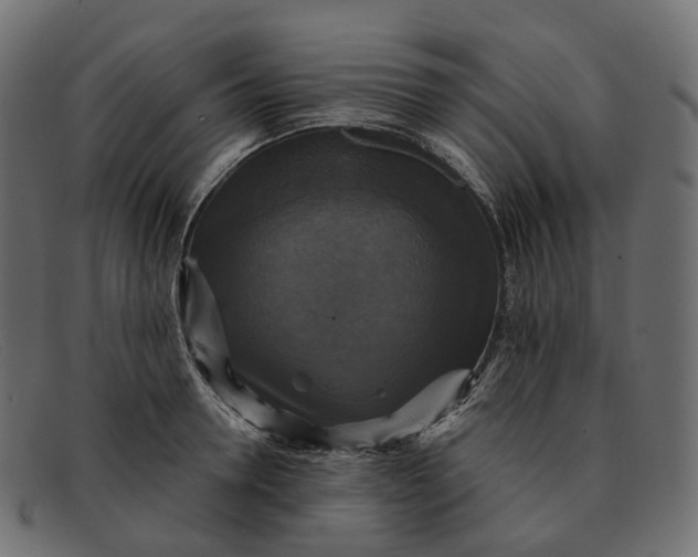 X0000091890946200709191214