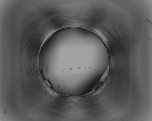X0000091890948200709191214