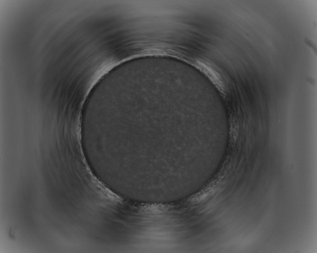 X0000091890950200709191214