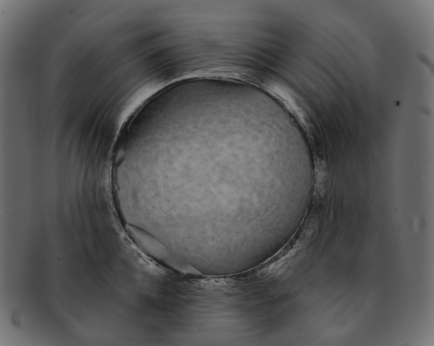 X0000091890952200709191215