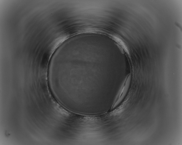 X0000091890954200709191215