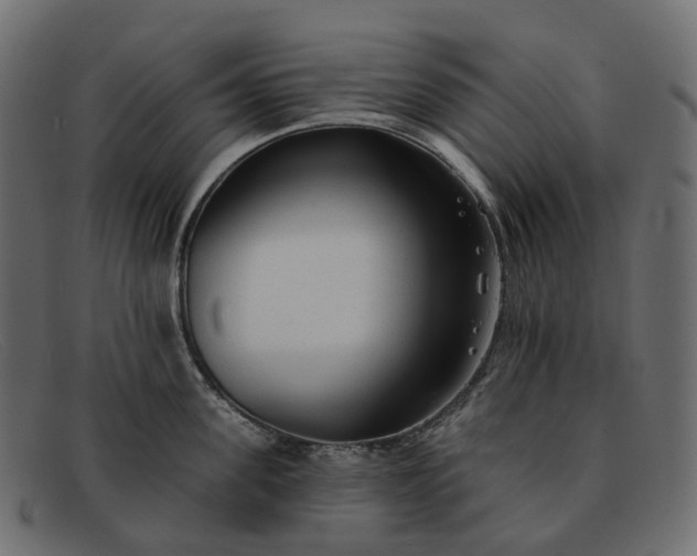 X0000091890955200709191215